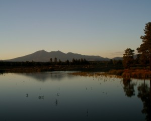 Ponderosa Trails